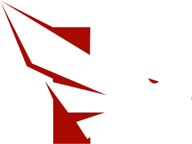 Falke Esports