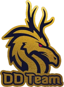 DD Team