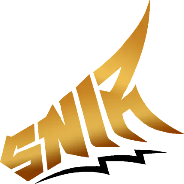 SniR Esport