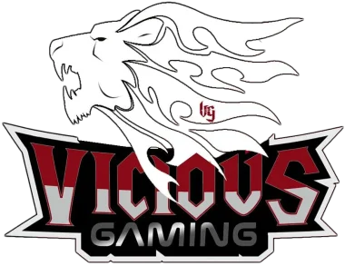 Vicious Gaming
