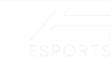 73 ESPORTS