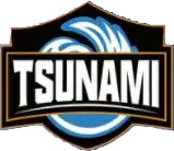 Tsunami