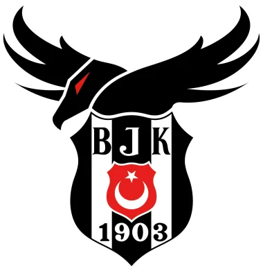 Beşiktaş Esports