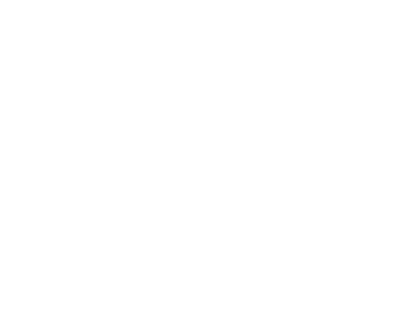 Team Orchid