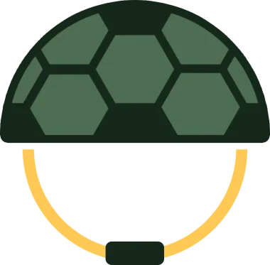 Turtle Troop