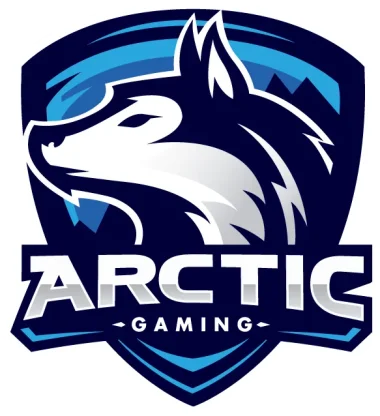 Arctic Gaming