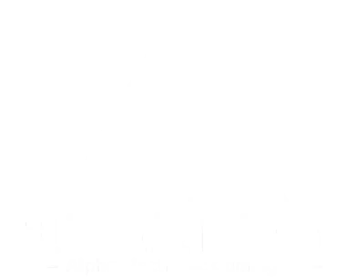 Alpha Electronic Gaming
