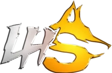 Los Hermanos Esports