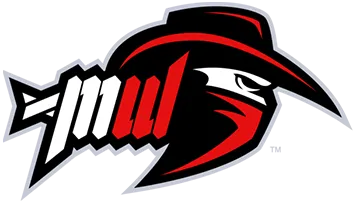 Most Wanted eSports