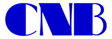 CNB.cn