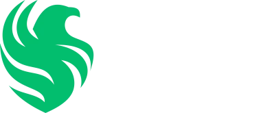 Team Falcons