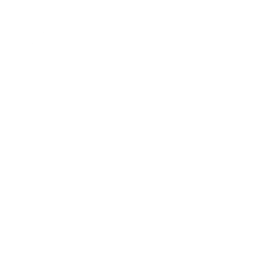Juventus DSYRE