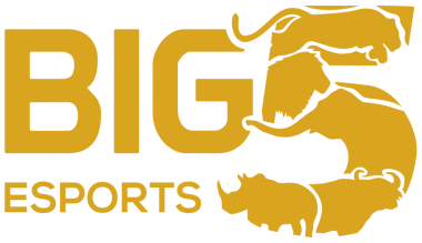 Big 5 Esports