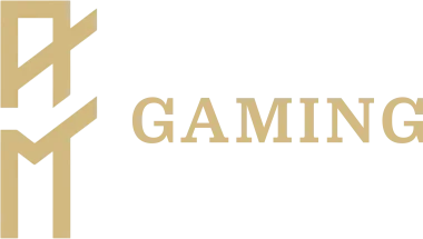 AM Gaming