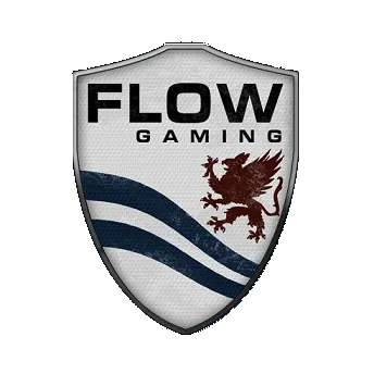Flow Gaming