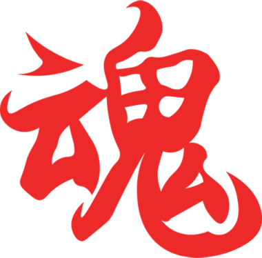 Attacking Soul Esports
