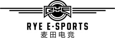 RYE E-SPORTS