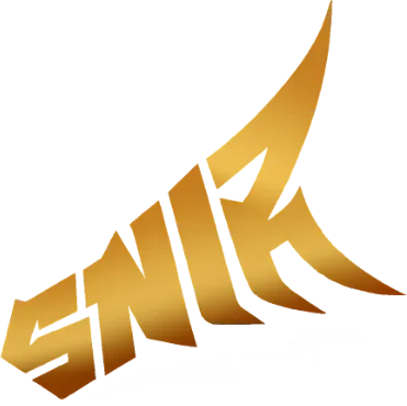 SniR Esport