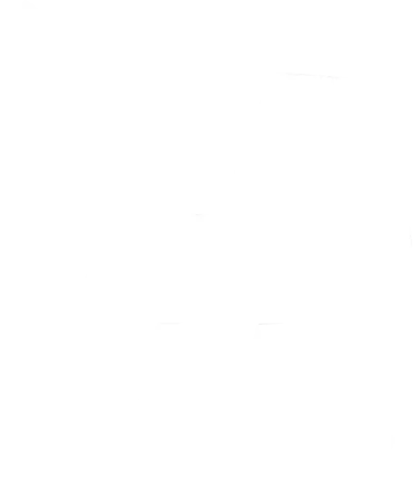 TT Project