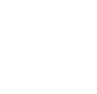 Team Spirit Academy