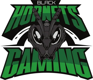 Black Hornets Gaming