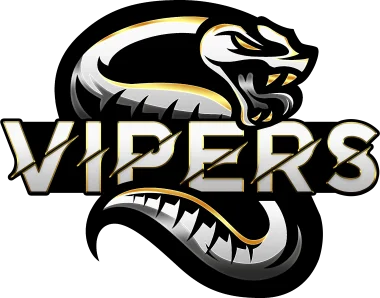 Vipers eSports