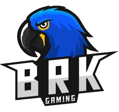 Brazilian Killers Gaming