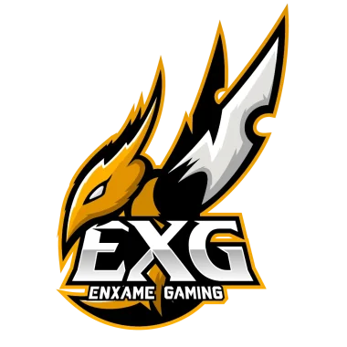 Enxame Gaming