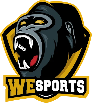 WeSports