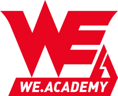Team WE Academy