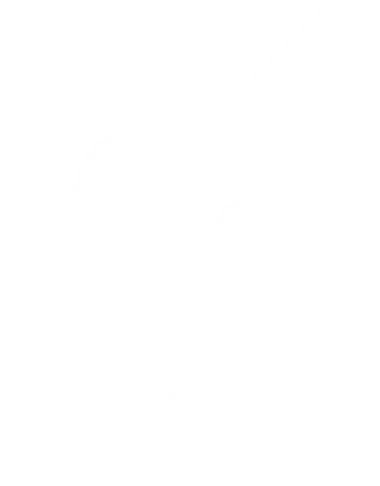 Onyx Ravens