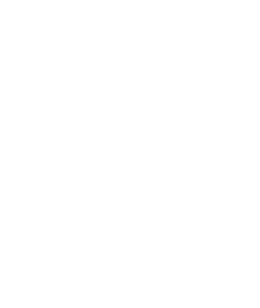 S2V Esports