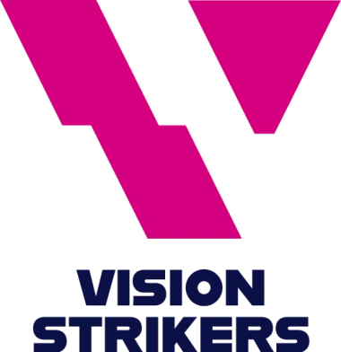 Vision Strikers