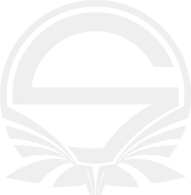 Team Singularity