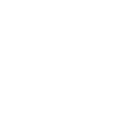 RAIDERS