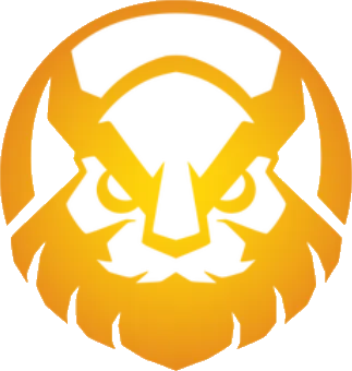 Vikings Esports Academy