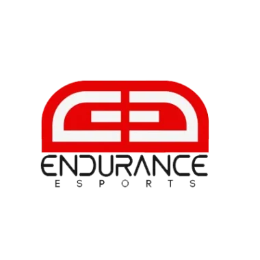 Endurance eSports