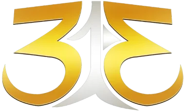313 Esports
