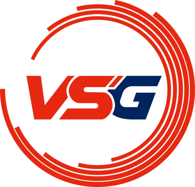 Team VSG