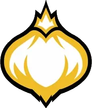 Onion Team