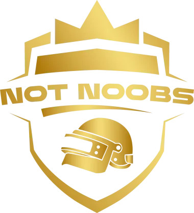 Not Noobs Esports