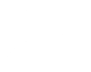 Team Spirit Academy