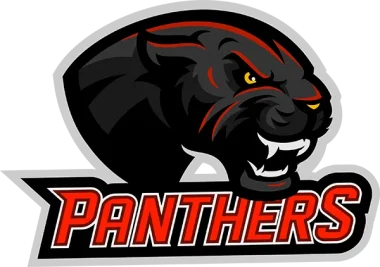 THE PANTHERS