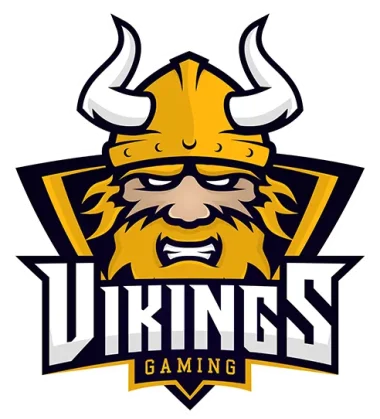 Team ViKiNGS