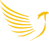 Изображение PROJECT MAJOR