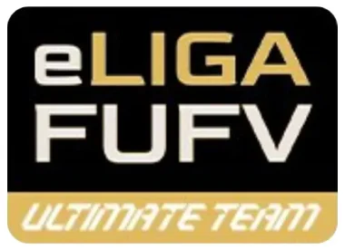 Изображение eLiga FUFV UT #4