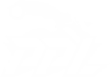 Изображение Perfect World Arena Premier League Season 5: Challenger Division