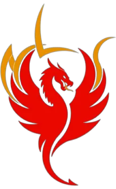 Изображение NLS Dragon Cup