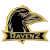 Изображение RavenZ-Cup II