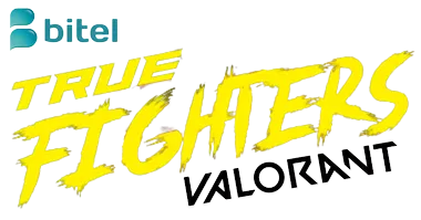 Изображение Bitel True Fighters